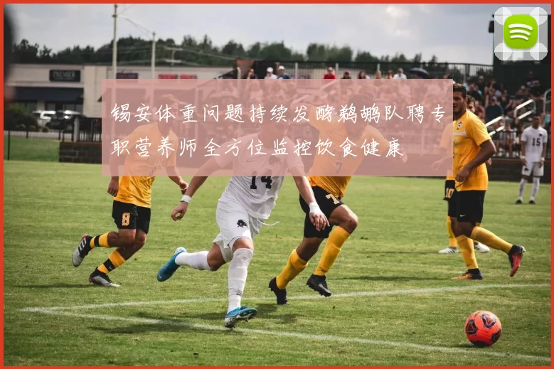锡安体重问题持续发酵鹈鹕队聘专职营养师全方位监控饮食健康
