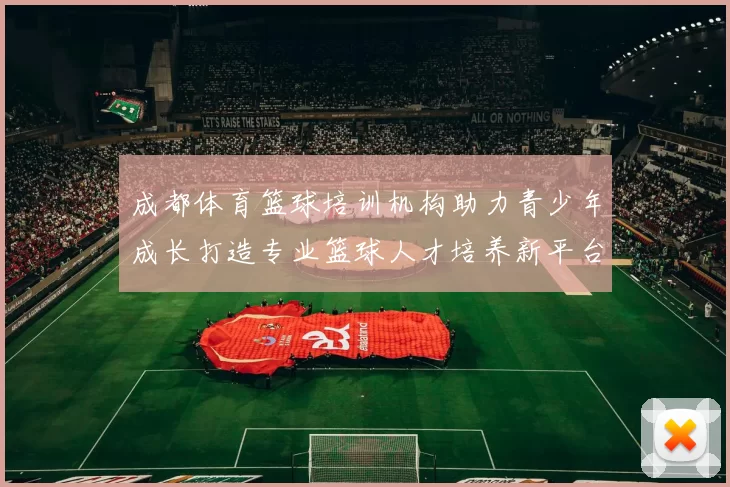 成都体育篮球培训机构助力青少年成长打造专业篮球人才培养新平台