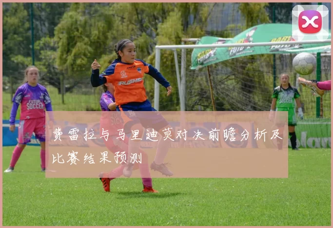 费雷拉与马里迪莫对决前瞻分析及比赛结果预测