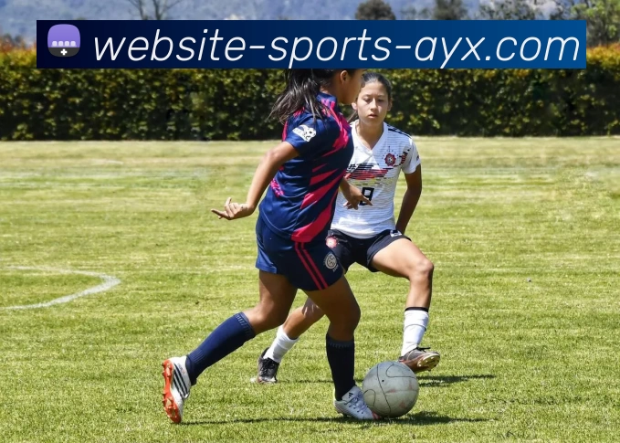 爱游戏APP 封面图